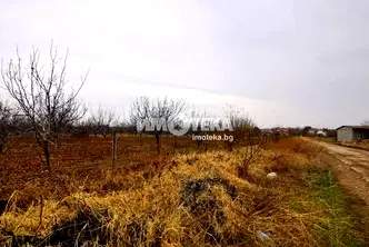 Земеделски имот в Пловдив, с. Чешнегирово