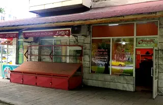 Магазин във Видин, Крум Бъчваров