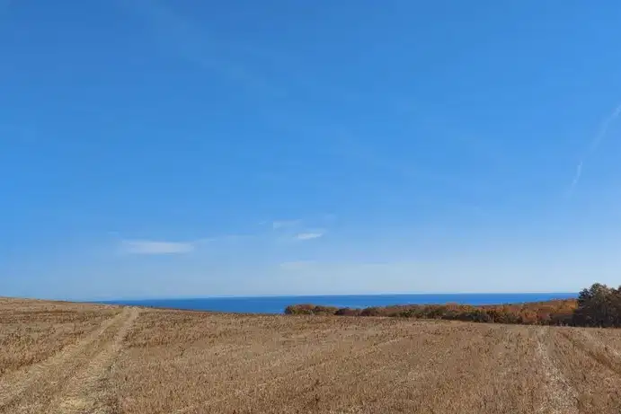 Земеделски имот в Бургас, Обзор