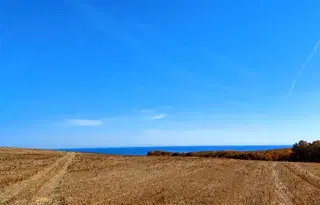 Земеделски имот в Бургас, Обзор