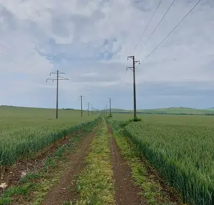 Photo 2 — Agricultural Land in Oblast Burgas, Tynkovo