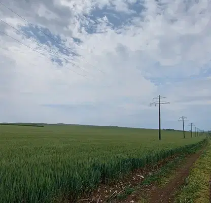 Photo 3 — Agricultural Land in Oblast Burgas, Tynkovo