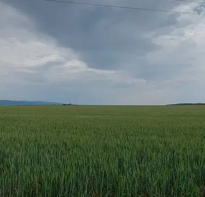 Photo 4 — Agricultural Land in Oblast Burgas, Tynkovo