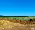 Снимка 4 — Земеделски имот в Бургас, с. Тънково