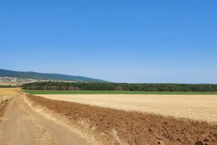 Agricultural Land in Oblast Burgas, Tynkovo
