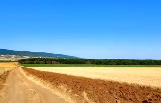 Земеделски имот в Бургас, с. Тънково