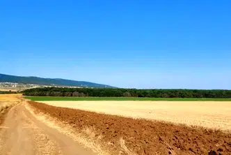 Земеделски имот в Бургас, с. Тънково