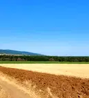 Земеделски имот в Бургас, с. Тънково