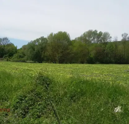 Photo 2 — Agricultural Land in Oblast Dobrich, Prilep