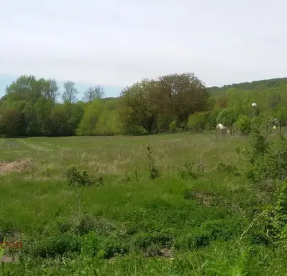 Photo 3 — Agricultural Land in Oblast Dobrich, Prilep