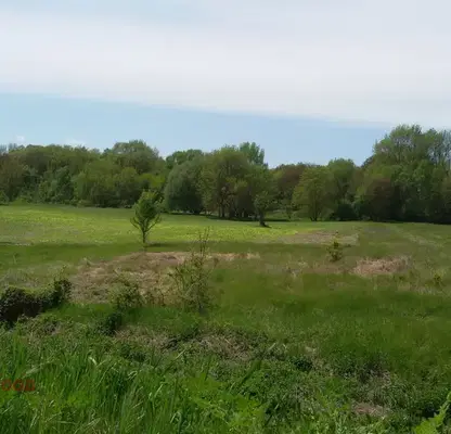 Photo 4 — Agricultural Land in Oblast Dobrich, Prilep