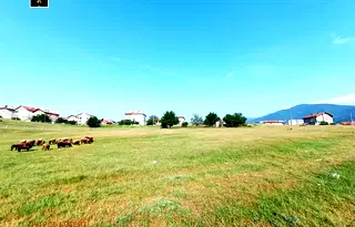 Земеделски имот в Пазарджик, Велин