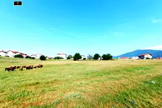 Земеделски имот в Пазарджик, Велин