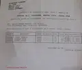 Снимка 4 — Земеделски имот в Перник, Трън