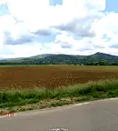 Земеделски имот в Перник, Трън