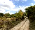 Снимка 4 — Земеделски имот в Пловдив, Асенов