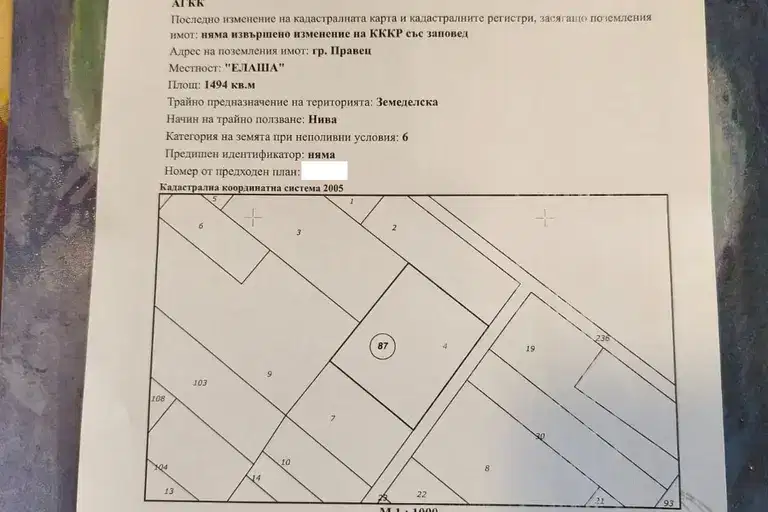 Нива в София, Правец