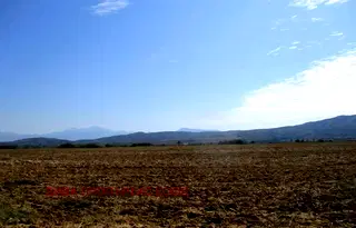 Земеделски имот в София, с. Драгушиново