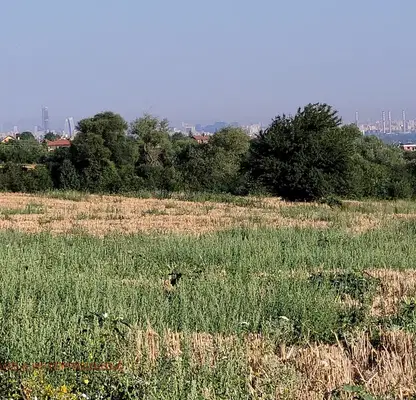 Photo 3 — Agricultural Land in област София, Lozen