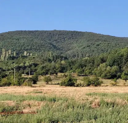 Photo 5 — Agricultural Land in област София, Lozen