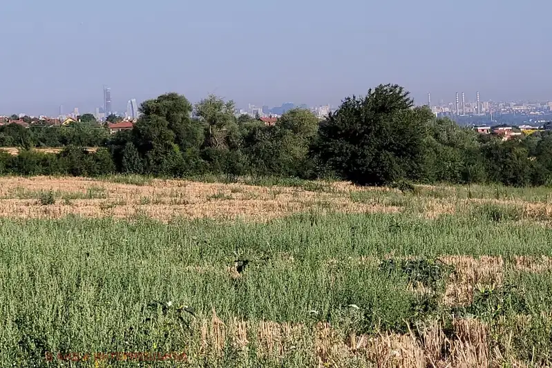 Agricultural Land in област София, Lozen
