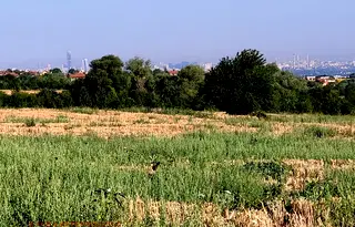 Земеделски имот в София, с. Лозен