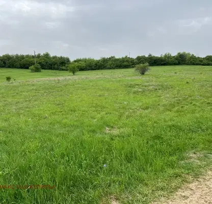 Photo 2 — Agricultural Land in Oblast Veliko Tyrnovo, Belyakovec
