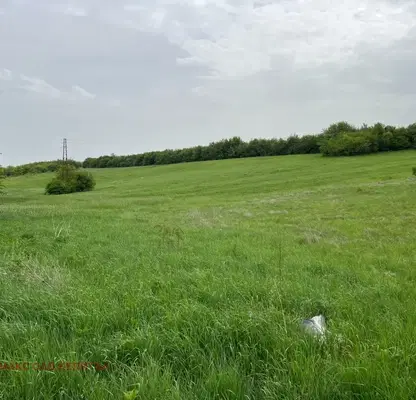 Photo 3 — Agricultural Land in Oblast Veliko Tyrnovo, Belyakovec