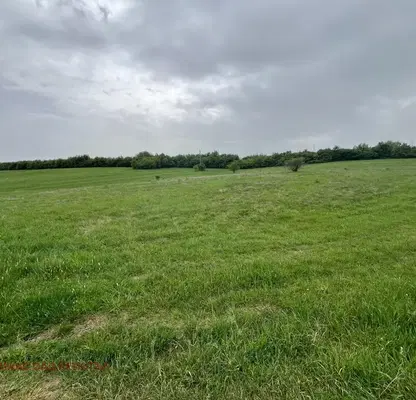 Photo 4 — Agricultural Land in Oblast Veliko Tyrnovo, Belyakovec