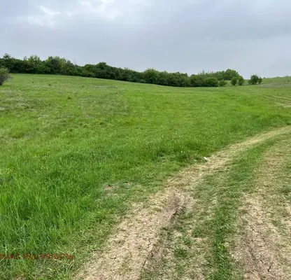 Photo 5 — Agricultural Land in Oblast Veliko Tyrnovo, Belyakovec