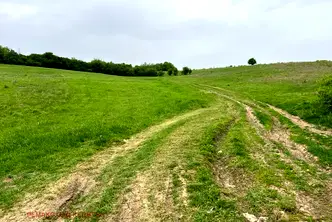 Земеделски имот във Велико Търново, с. Беляковец
