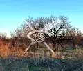 Снимка 3 — Земеделски имот в Пловдив, с. Конуш