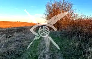 Земеделски имот в Пловдив, с. Конуш