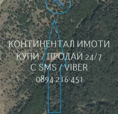Снимка 2 — Овощна градина в Пловдив, с. Куртово Конаре