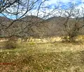 Снимка 2 — Земеделски имот в Пловдив, с. Кърнаре