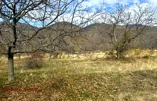 Земеделски имот в Пловдив, с. Кърнаре