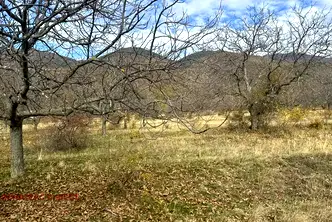Земеделски имот в Пловдив, с. Кърнаре