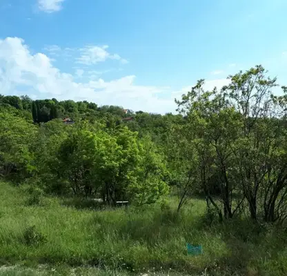 Photo 3 — Plot in Студентско че