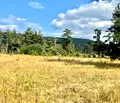 Снимка 4 — Парцел в с. Плана