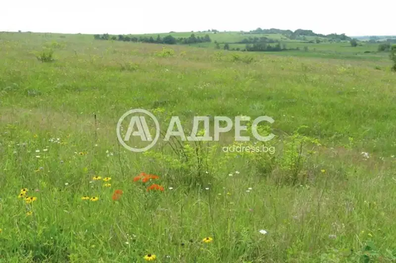 Парцел в с. Доброславци