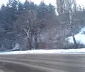 Снимка 4 — Парцел в с. Кокаляне