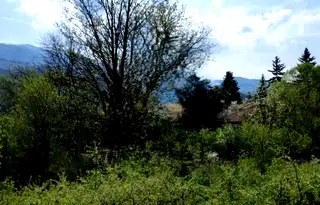 Парцел в с. Герман