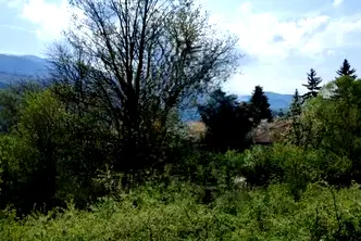 Парцел в с. Герман