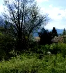 Парцел в с. Герман