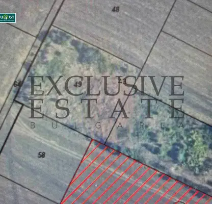 Photo 2 — Plot in Topoli