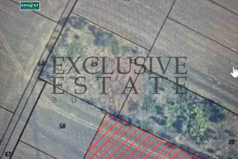 Plot in Topoli