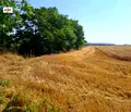 Снимка 3 — Парцел в с. Тополи