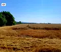 Снимка 4 — Парцел в с. Тополи
