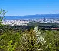 Снимка 4 — Парцел в с. Панчарево