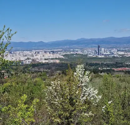 Photo 4 — Plot in Pancharevo